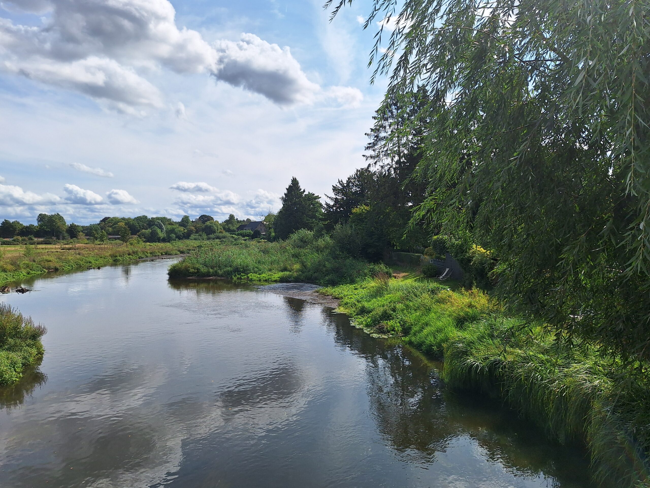 12- Niers5 renaturierte Niers 20250904_125838