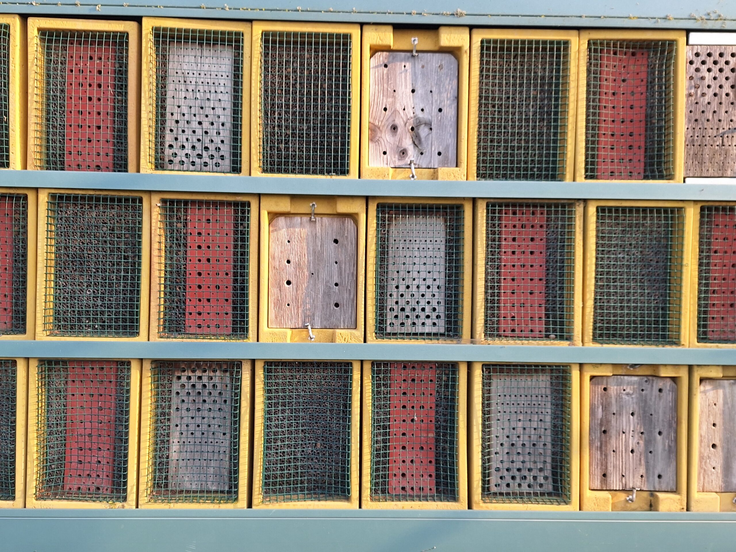 16- Naturschaugarten - Bienenschlupf