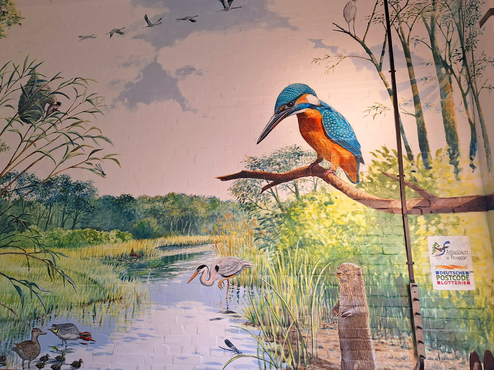 35- Niers mit Eisvogel 20250306_091924